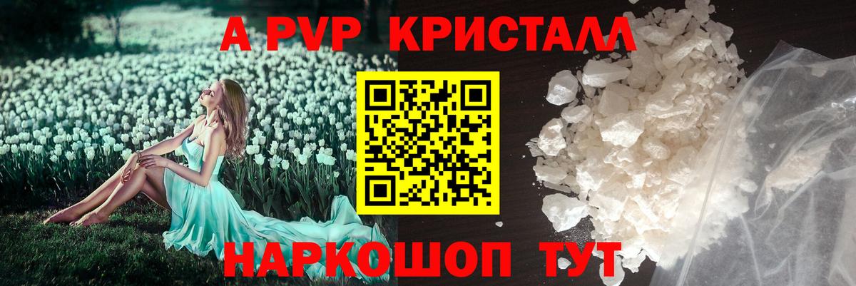 Альфа ПВП СК  Вход с VPN  даркнет сайт  Кизилюрт 