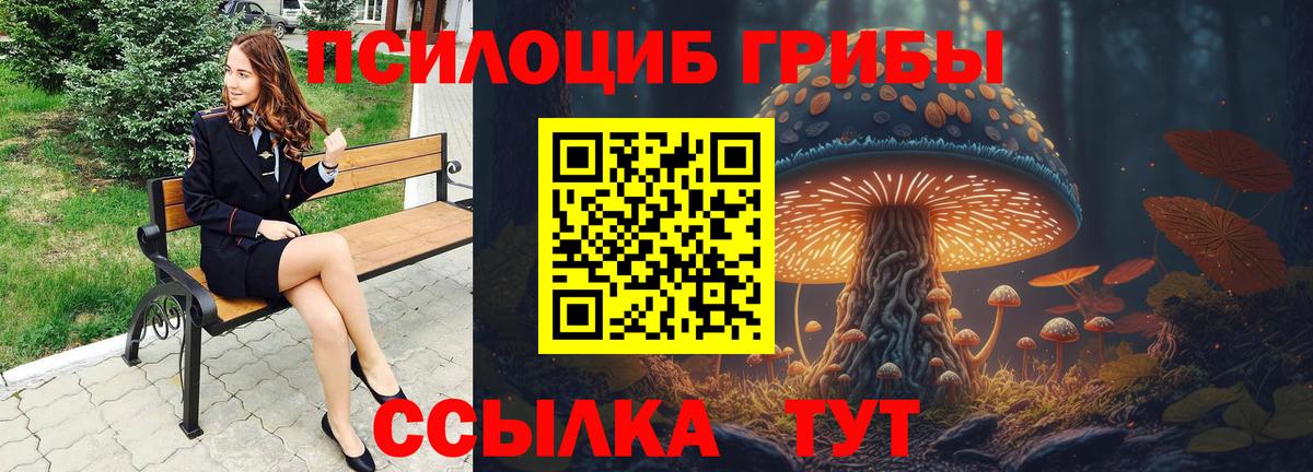 Галлюциногенные грибы Psilocybe Кизилюрт