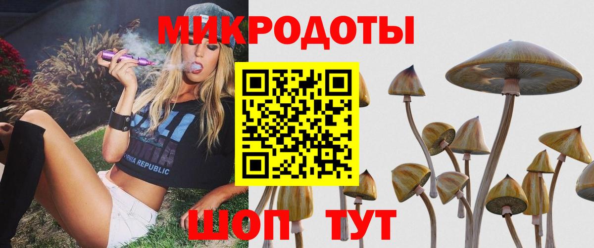 Галлюциногенные грибы Psilocybine cubensis  Вход с VPN  как найти наркотики  Кизилюрт 